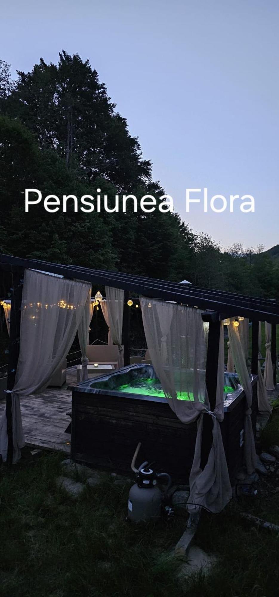 Pensiunea Flora Cîrţişoara Bagian luar foto
