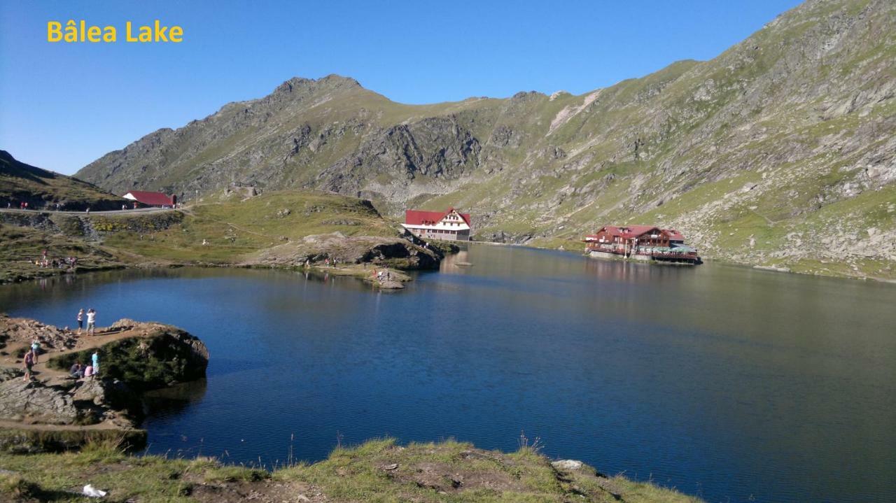 Pensiunea Flora Cîrţişoara Bagian luar foto